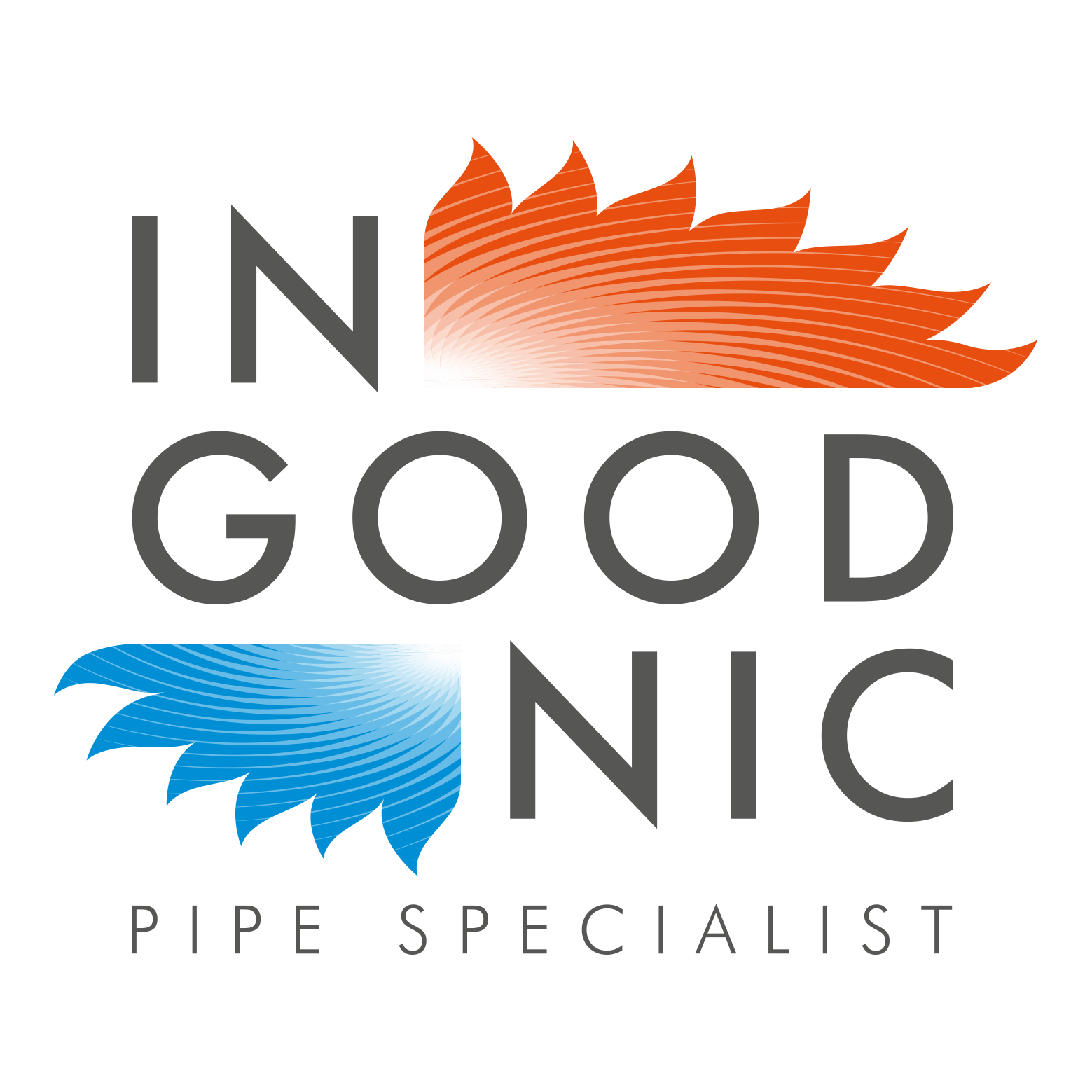 Ingoodnic Ltd